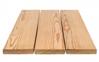 фото Планкен сорт Прима